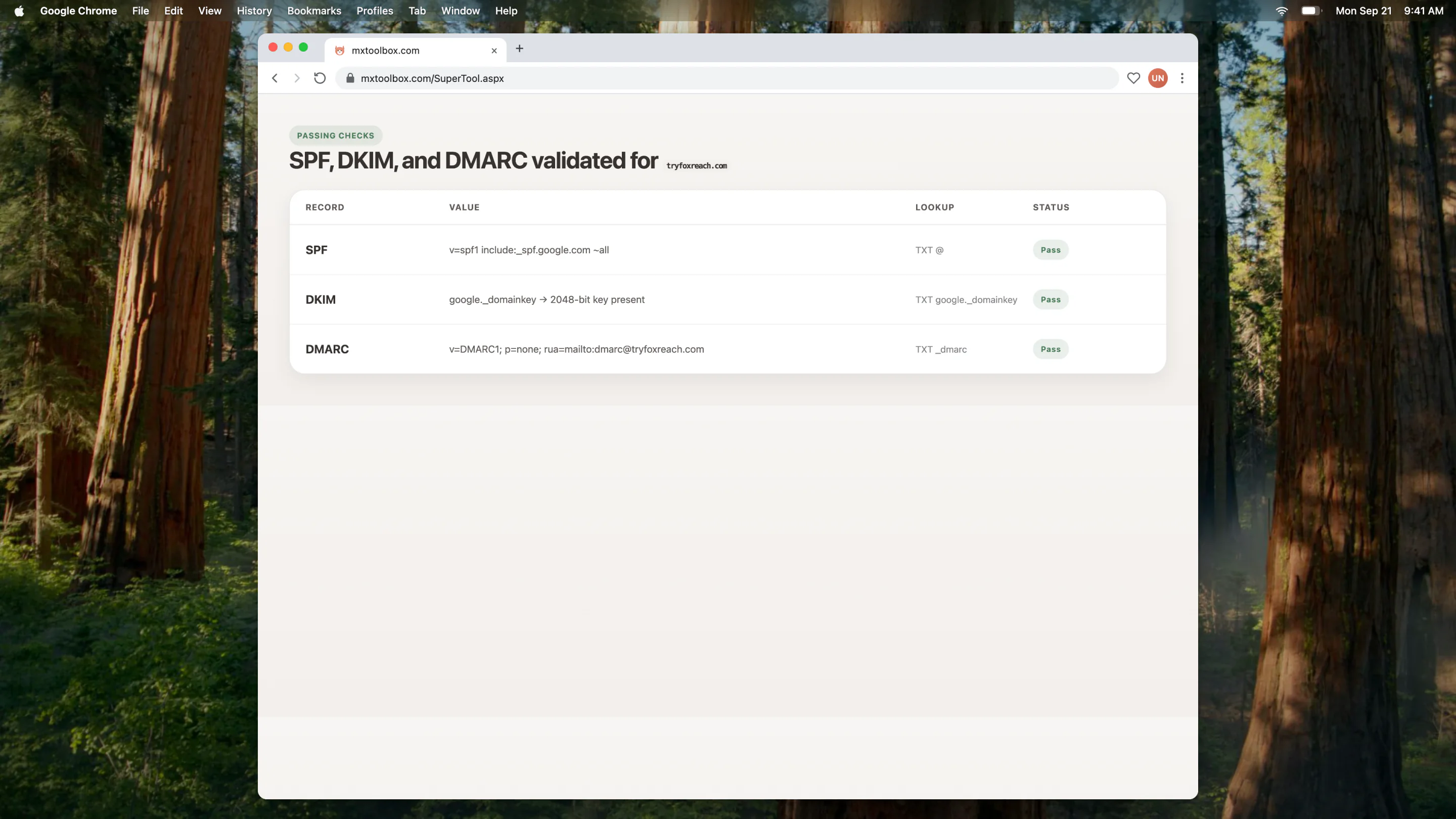 SPF, DKIM, and DMARC pass results for a sample domain
