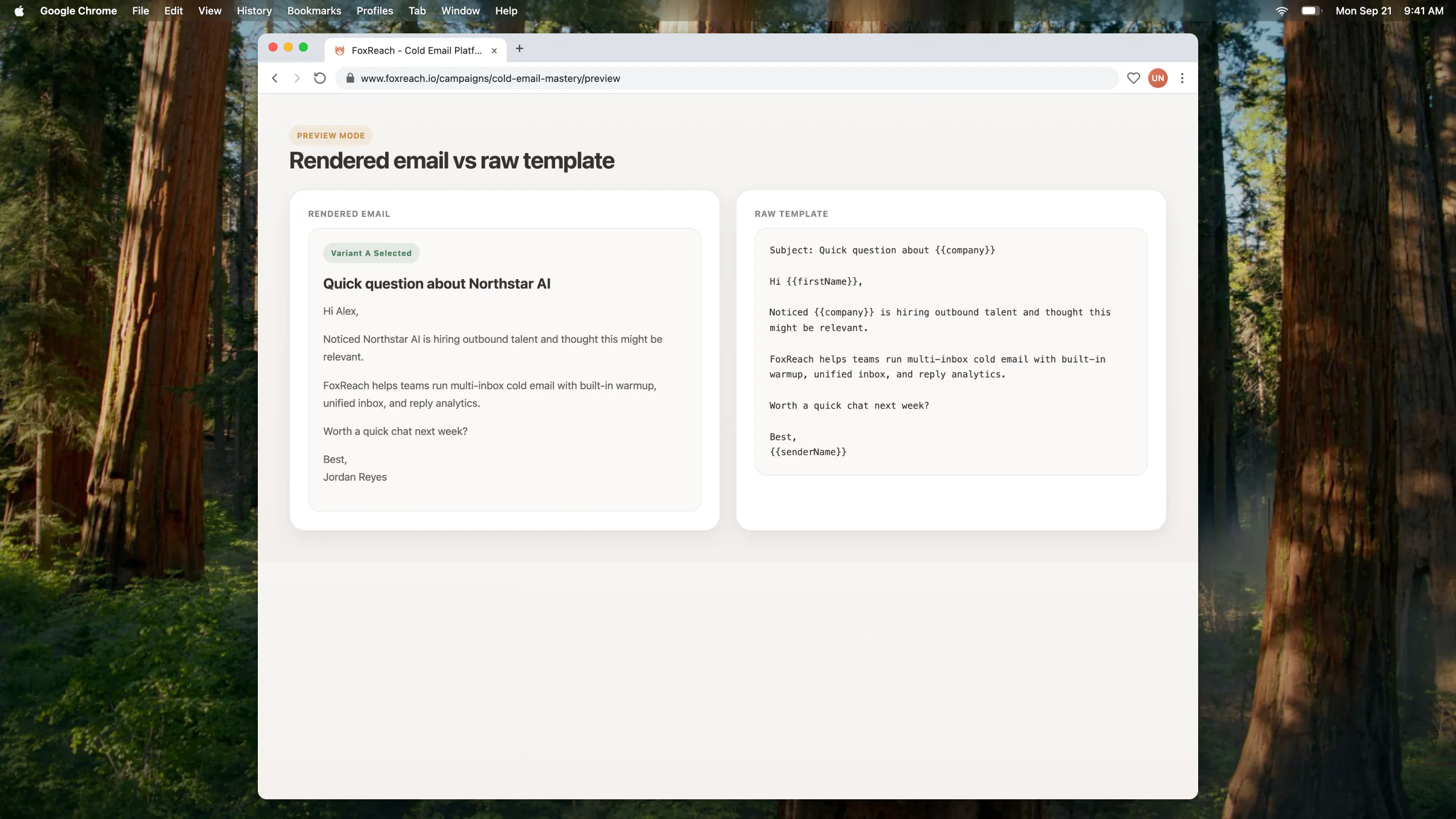 Split preview showing rendered email and raw template side by side